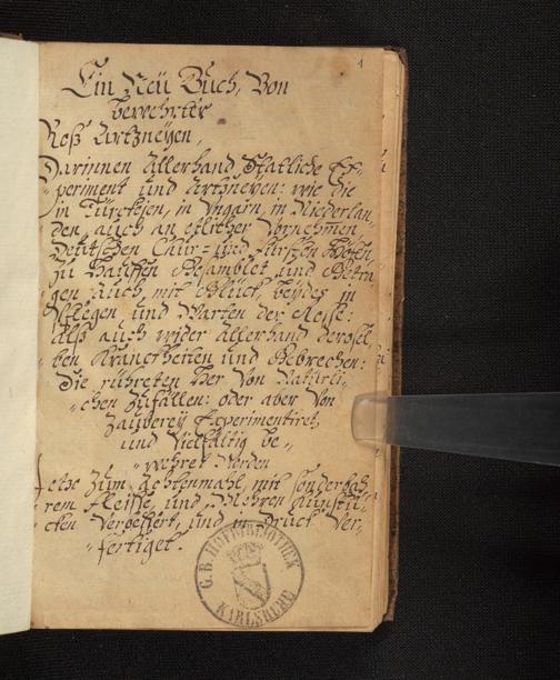Zur Seitenansicht